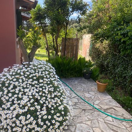 הוילה Paramonas  Casa Piccolino מראה חיצוני תמונה