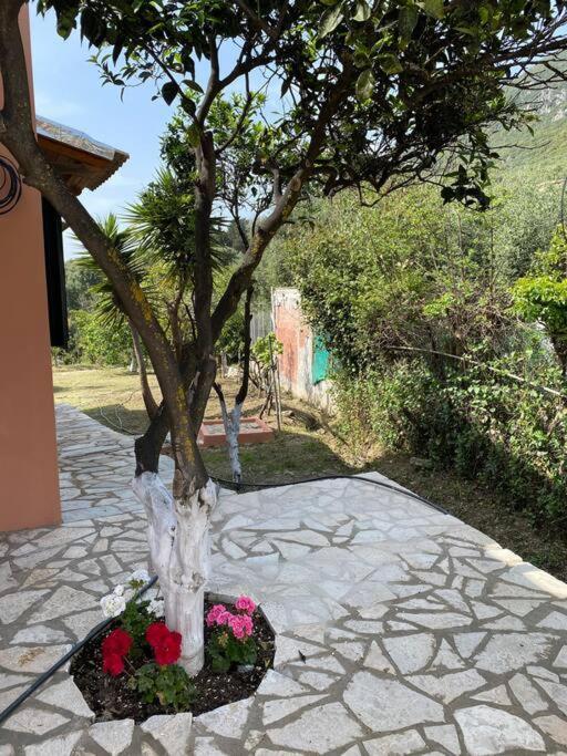 הוילה Paramonas  Casa Piccolino מראה חיצוני תמונה
