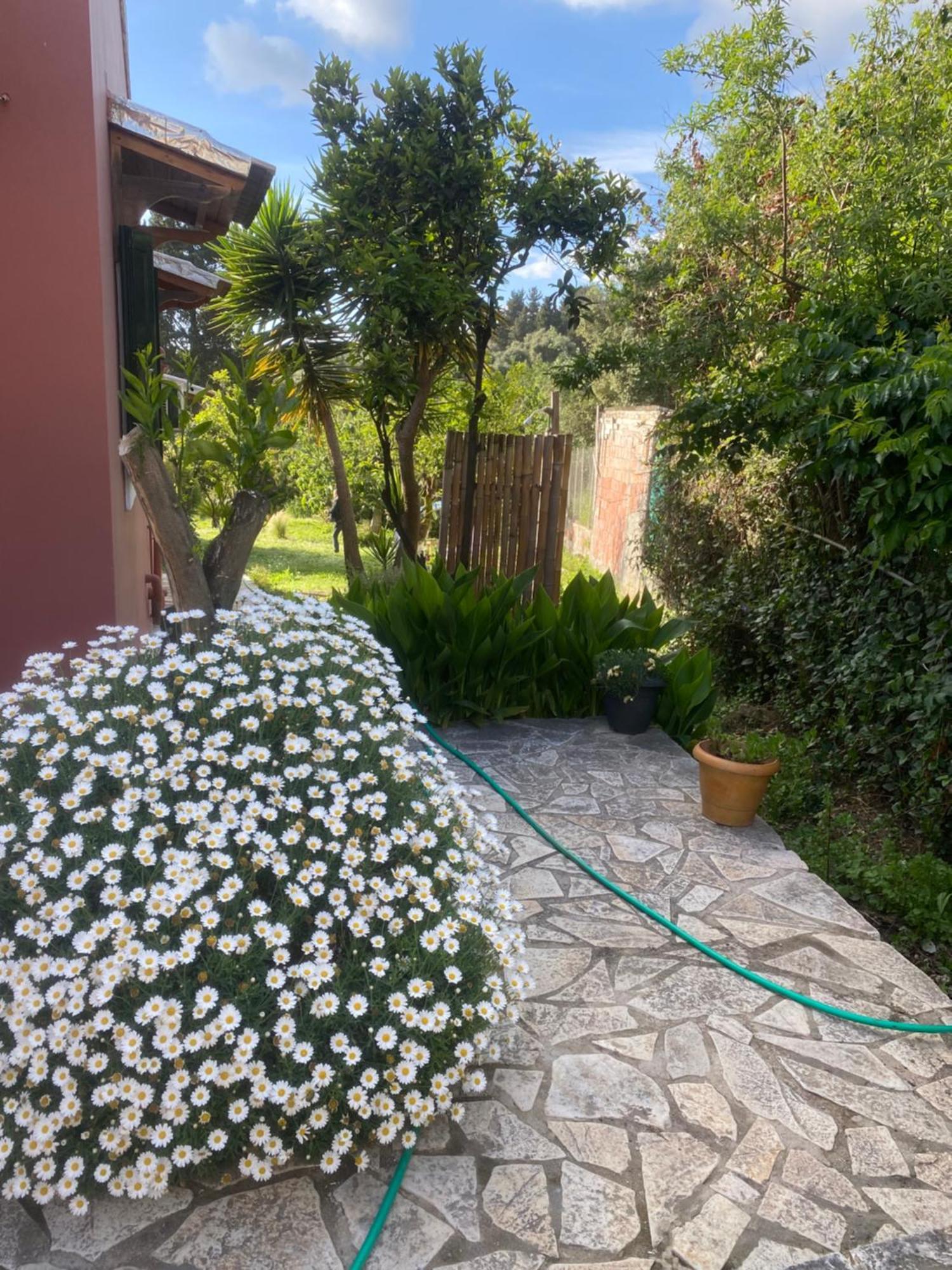 הוילה Paramonas  Casa Piccolino מראה חיצוני תמונה